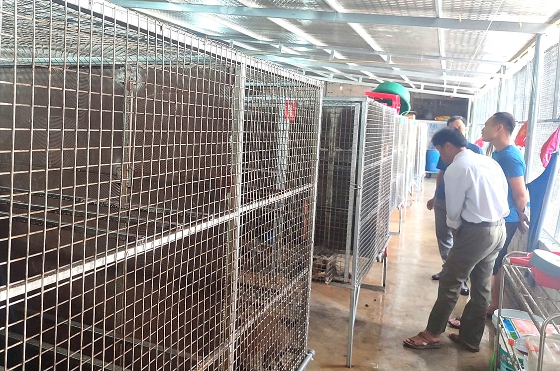 Các học viên thăm quan mô hình nuôi chồn giống và thương phẩm tại xã Vũ Lễ