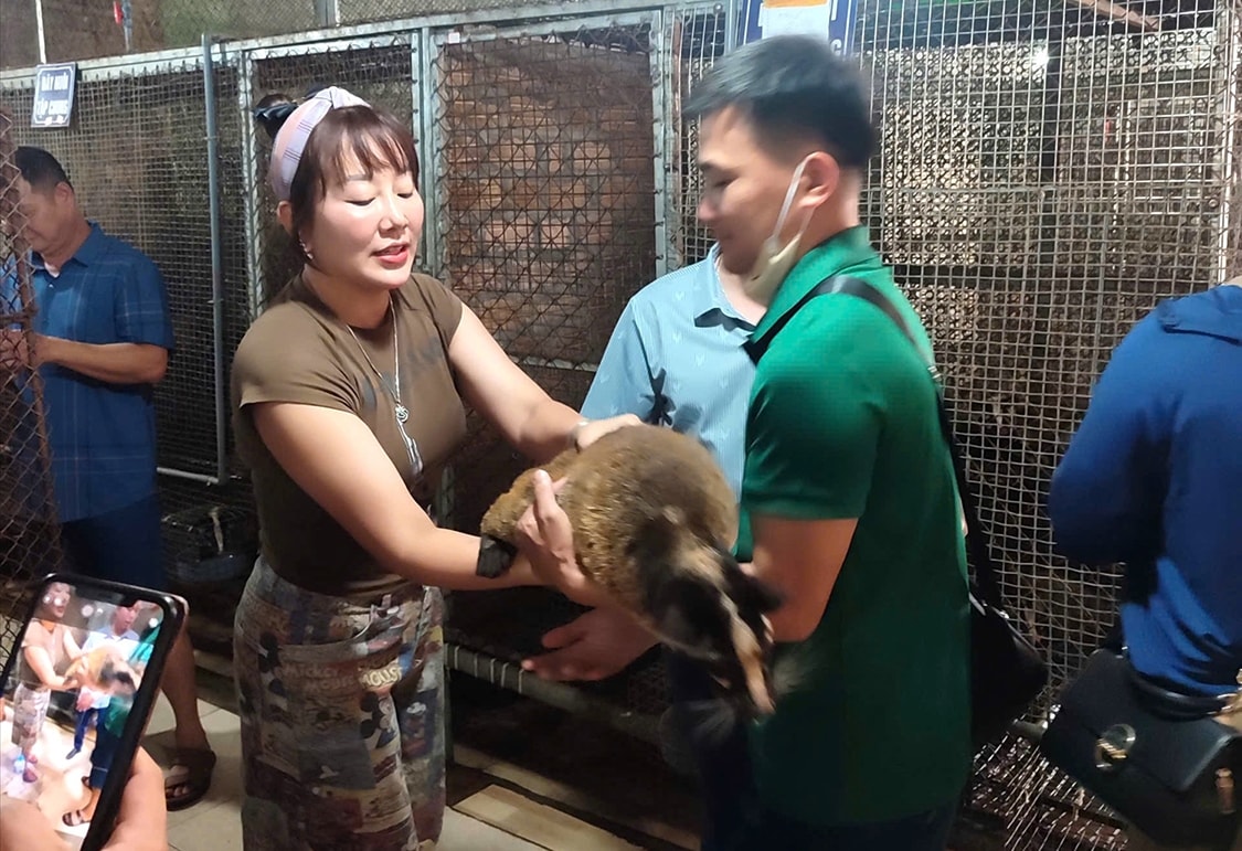 Các học viên tìm hiểu cách chăm sóc nuôi chồn hương thương phẩm