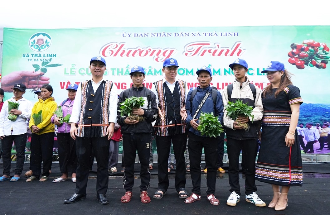 Tặng sâm Ngọc Linh giống cho người nghèo. (Ảnh Trà Mai) Tặng sâm Ngọc Linh giống cho người nghèo. (Ảnh Trà Mai)