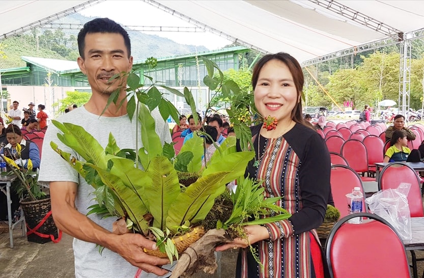 Góp sâm Ngọc Linh để xóa nhà tạm 4