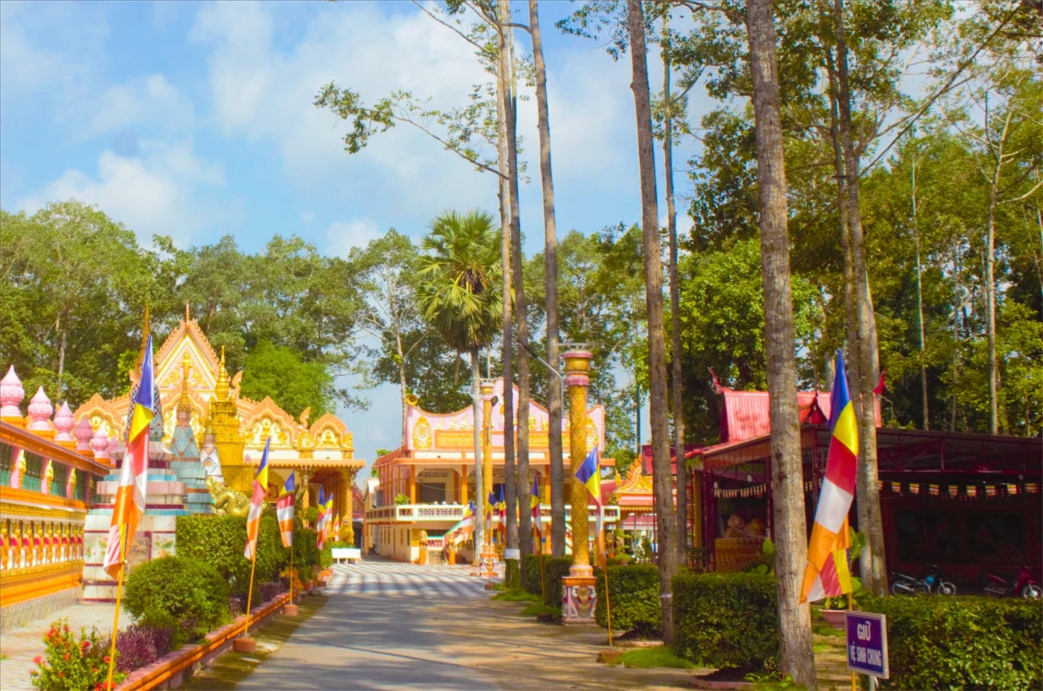 Phần lớn diện tích chùa được phủ xanh bởi hàng trăm cây sao to, cao ngộp trời. Nhiều cây sao được trồng một hàng dài trong khuôn viên chùa có trên 100 năm tuổi.