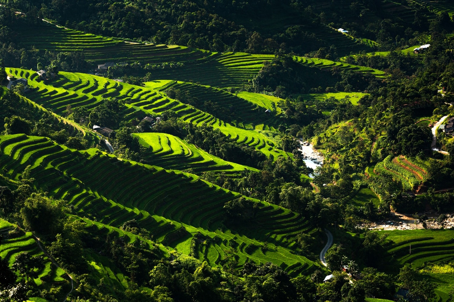 Khung cảnh thiên nhiên thơ mộng của Thông Nguyên - Ảnh Vũ Mừng Khung cảnh thiên nhiên thơ mộng của Thông Nguyên - Ảnh Vũ Mừng