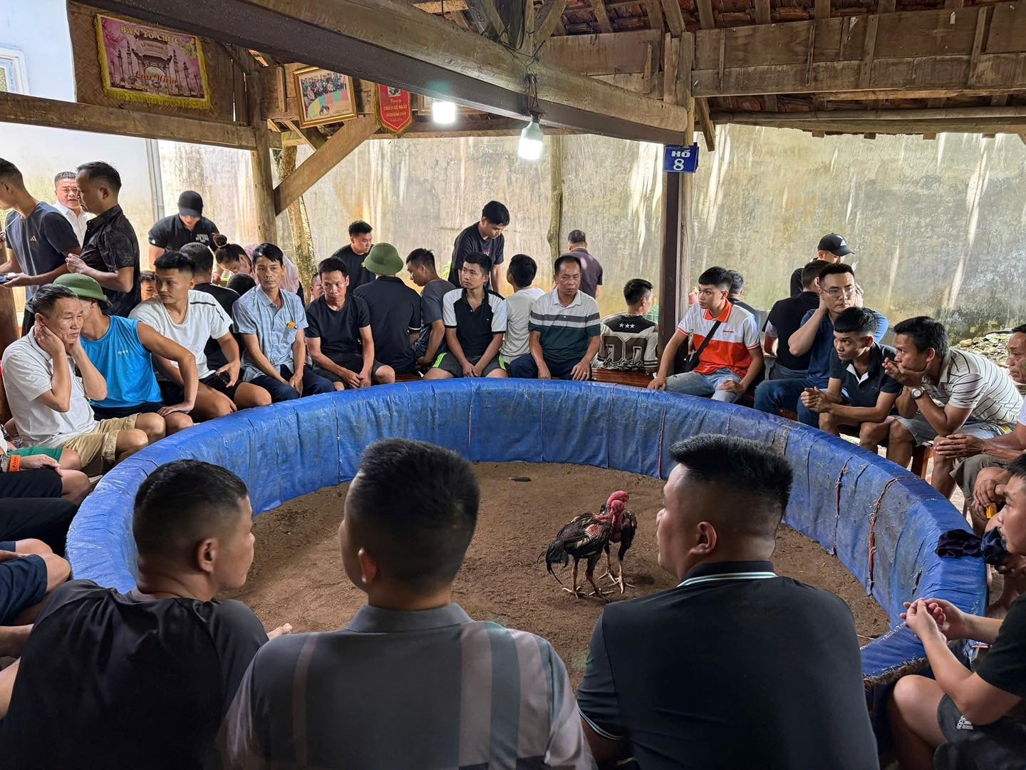 Triệt phá ổ nhóm đánh bạc bằng hình thức cá độ đá gà. Ảnh: Công an Tuyên Quang