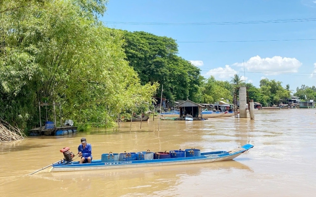 Chiếc xuồng của người dân ở Nhơn Hội - xã đầu nguồn thuộc tỉnh An Giang sau một chuyến đánh bắt sản vật mùa nước nổi. (Ảnh: Thanh Lâm)