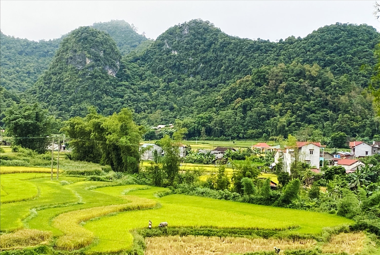 Với những đóng góp thiết thực của đội ngũ Người có uy tín, khu vực biên giới, vùng đồng bào DTTS đã và đang có những bước chuyển đáng mừng Với những đóng góp thiết thực của đội ngũ Người có uy tín, khu vực biên giới, vùng đồng bào DTTS đã và đang có những bước chuyển đáng mừng