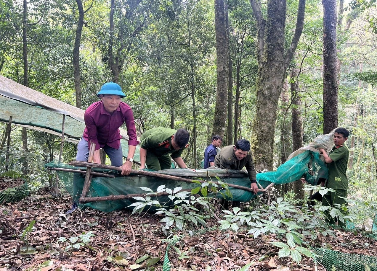 Các thành viên Tổ công tác giúp các hộ dân dọn dẹp lưới, bạt che chắn vườn sâm Ngọc Linh bị mưa bão làm hư hỏng. (Ảnh: Ngọc Chí) Các thành viên Tổ công tác giúp các hộ dân dọn dẹp lưới, bạt che chắn vườn sâm Ngọc Linh bị mưa bão làm hư hỏng. (Ảnh: Ngọc Chí)
