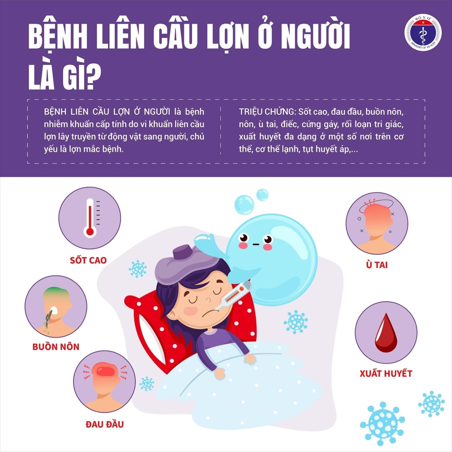 Bộ Y tế đề nghị các tinh, thành phố tăng cường công tác phòng chống liên cầu lợn sang người Bộ Y tế đề nghị các tinh, thành phố tăng cường công tác phòng chống liên cầu lợn sang người