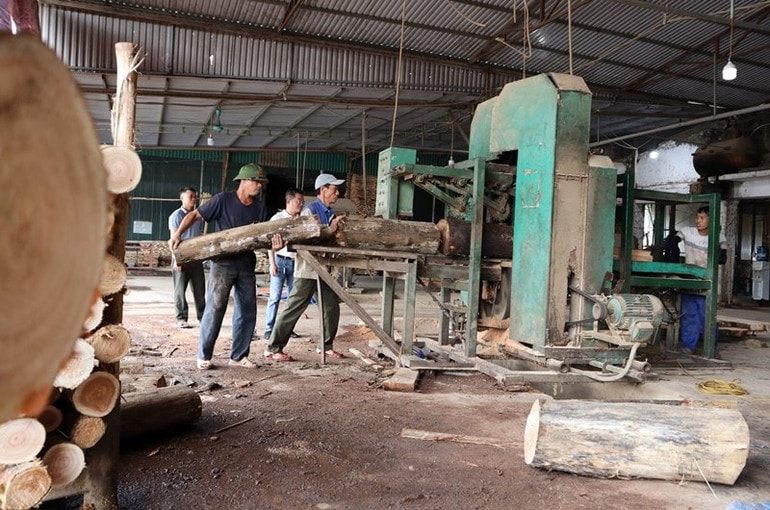 Chế biến sản phẩm từ cây gỗ lớn được trồng, thu mua ở các huyện miền tây Nghệ An tại Xí nghiệp Chế biến nông lâm sản Sông Hiếu.