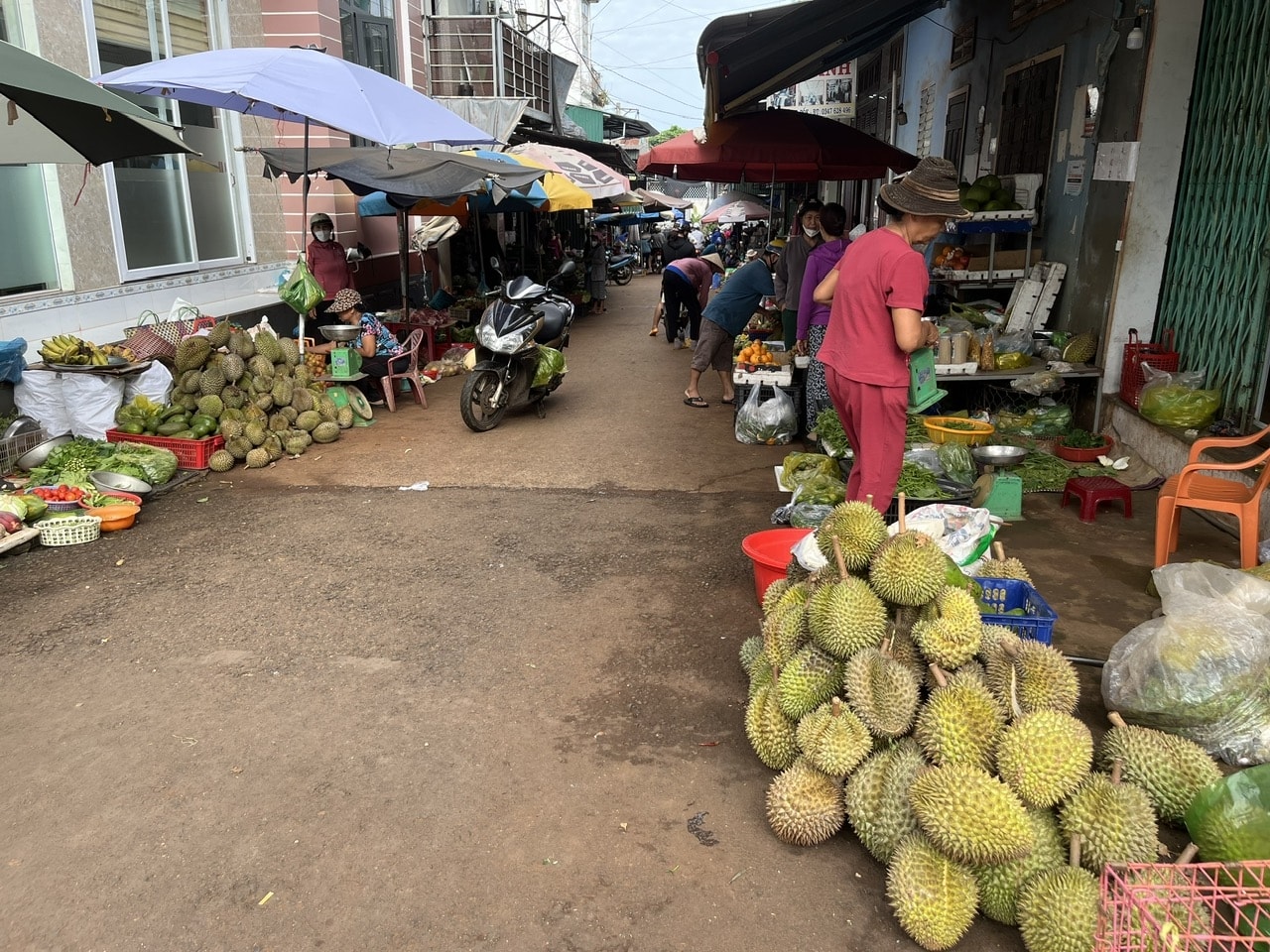 Sầu riêng trong góc chợ Sầu riêng trong góc chợ