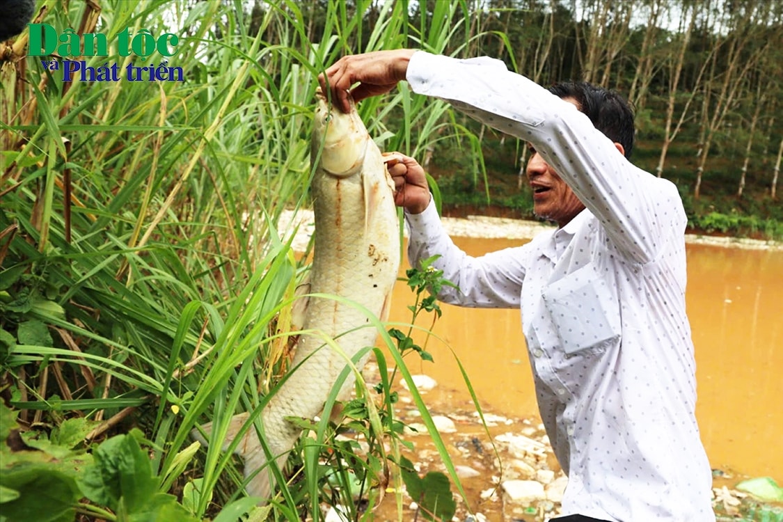 Sau sự cố, rác thải trôi vào ao làm nước bị ô nhiễm và cá chết hàng loạt. (Ảnh: Ngọc Chí)
