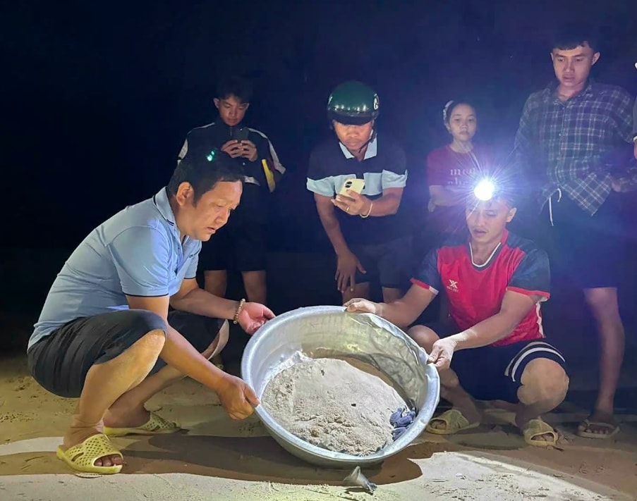 Lực lượng chức năng và người dân trên xã đảo Nhơn Châu thả 11 cá thể rùa biển về môi trường tự nhiên (Ảnh N.C)