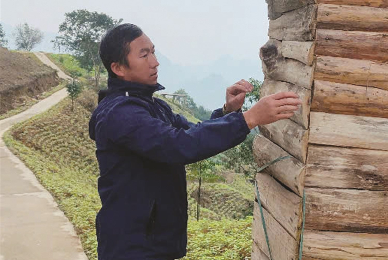 Anh Cư Seo Giả chỉnh trang cổng vào đồi hoa tam giác mạch