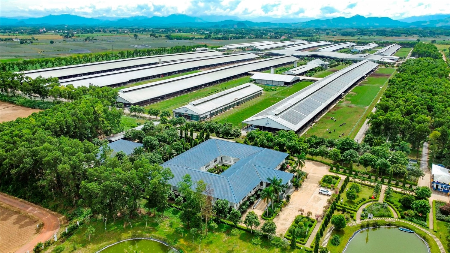 Hệ thống 15 trang trại đạt chuẩn Organic châu Âu và Global S.L.P là nền tảng giúp Vinamilk chủ động nguồn nguyên liệu chất lượng cao (Ảnh: Minh Anh).