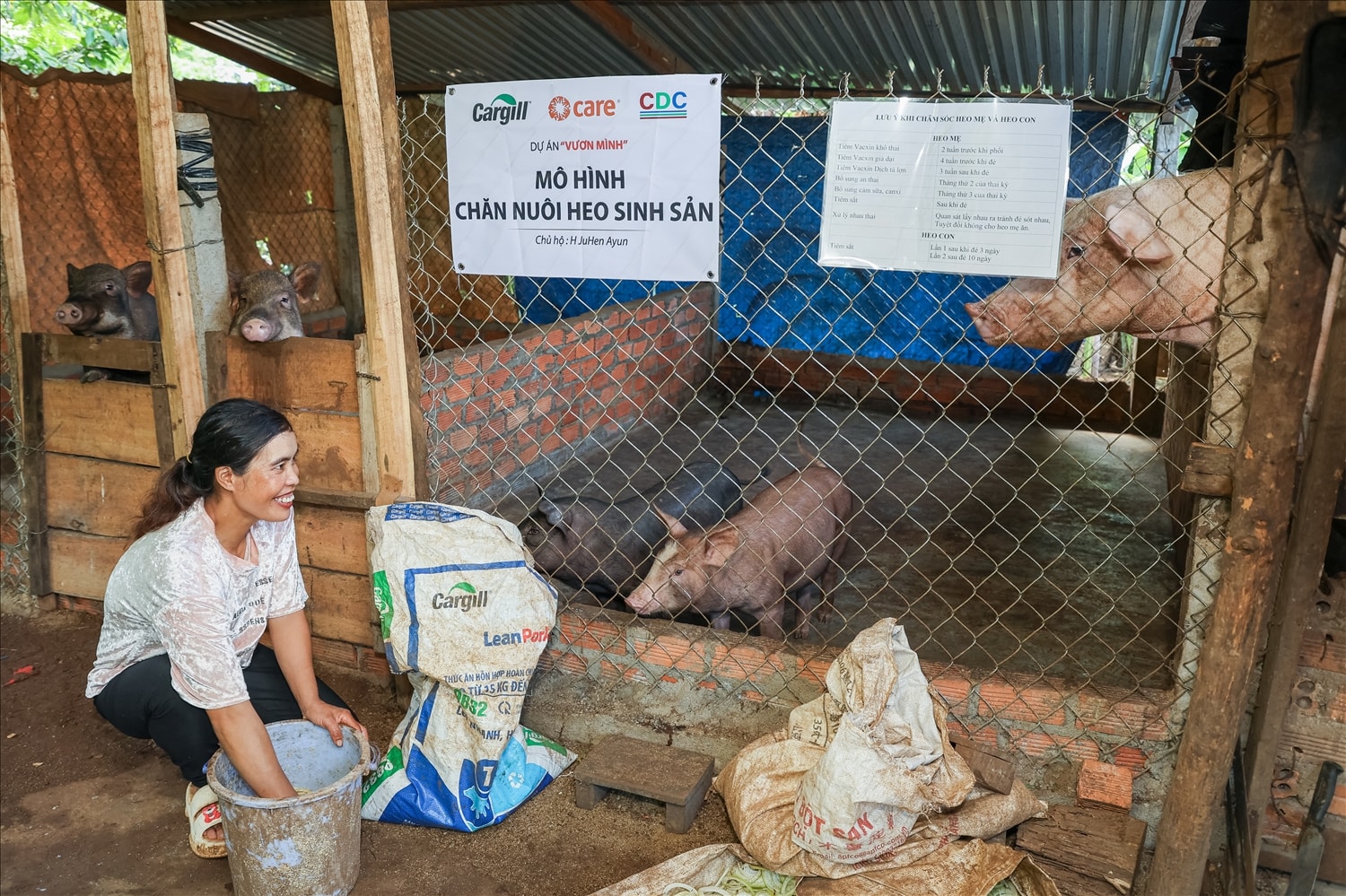 Dự án hỗ trợ con giống, kỹ thuật giúp các hộ cải thiện sinh kế (ảnh: Lê Hường) Dự án hỗ trợ con giống, kỹ thuật giúp các hộ cải thiện sinh kế (ảnh: Lê Hường)