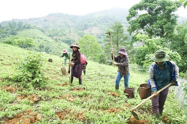Nghị định 226/2025/NĐ-CP có hiệu lực từ ngày 15 tháng 8 năm 2025.