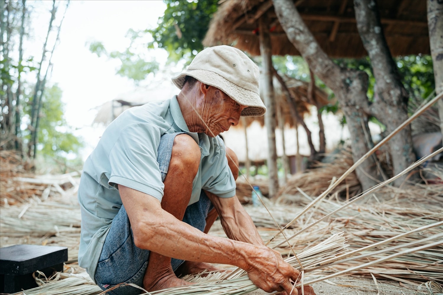 (bài CTV) Miên man Gò Cỏ 2