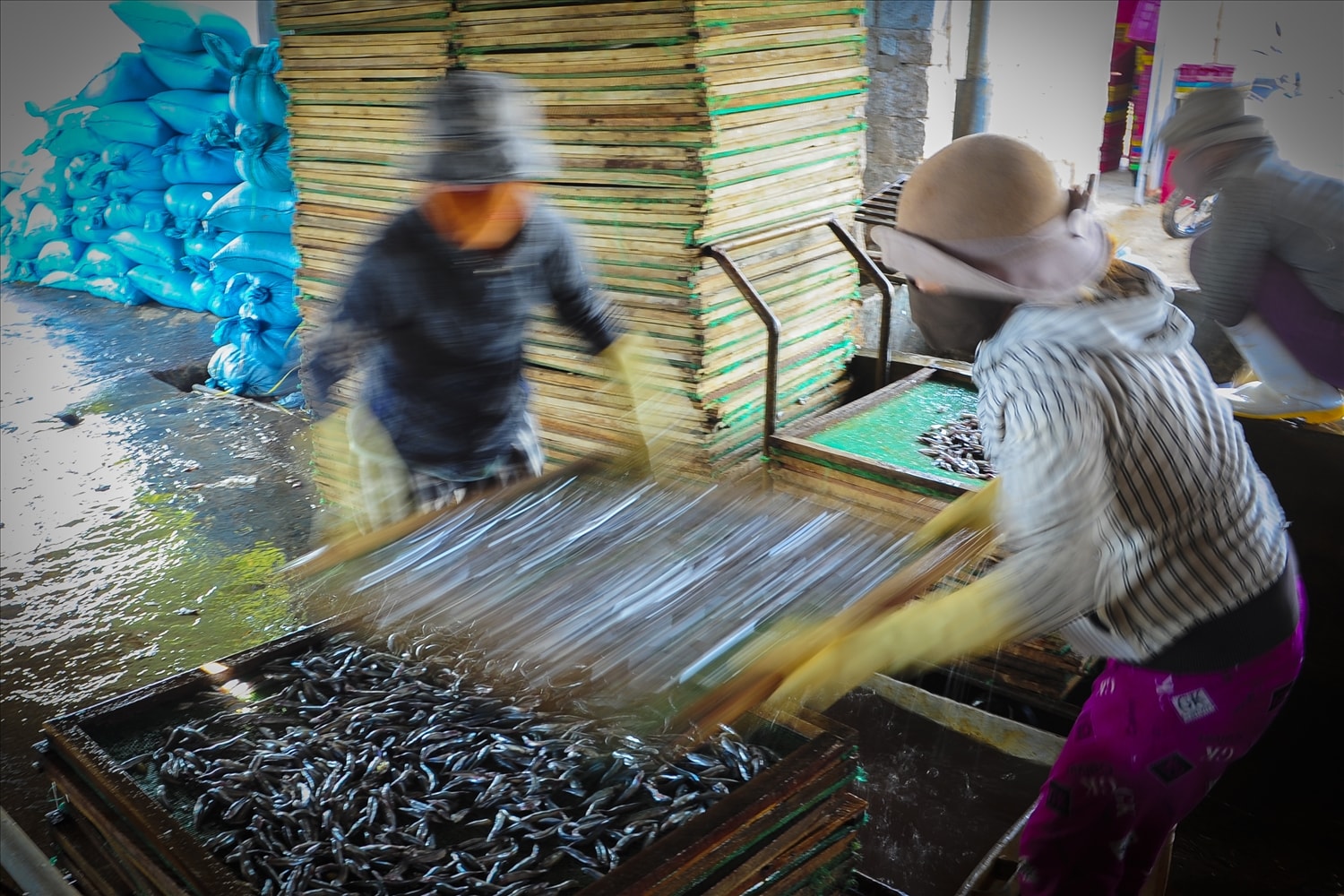 Những người thợ thi đua lao động.
