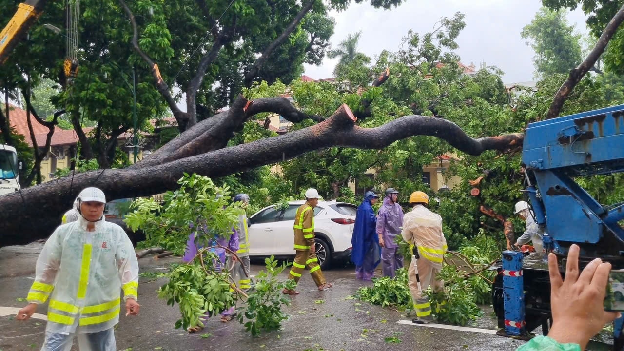 Công nhân môi trường đang dọn dẹp cây xanh bị ngã đổ trên các tuyến phố để người dân có thể đi lại