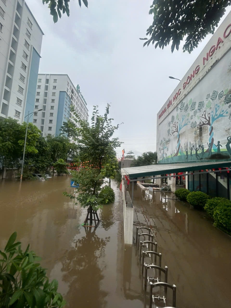 Sân trường Tiểu học Đông Ngạc thuộc phường Đông Ngạc bị ngập sâu trong nước