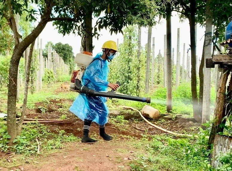 Các địa phương tăng cường công tác vệ sinh môi trường, phun hoá chất, diệt lăng quăng/bọ gậy bằng chủ động phòng bệnh SXH Các địa phương tăng cường công tác vệ sinh môi trường, phun hoá chất, diệt lăng quăng/bọ gậy bằng chủ động phòng bệnh SXH