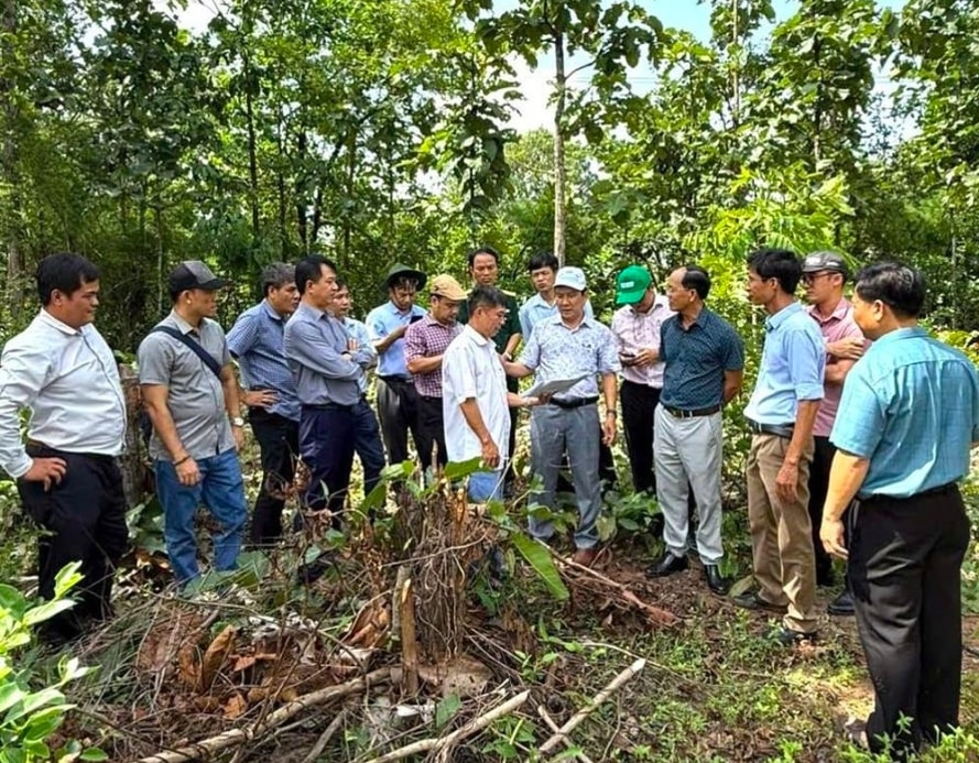 Ngành Giáo dục tỉnh Gia Lai chọn địa điểm để xây các trường nội trú ở các xã biên giới, tiến tới xoá các điểm trường lẻ (Ảnh T.N)