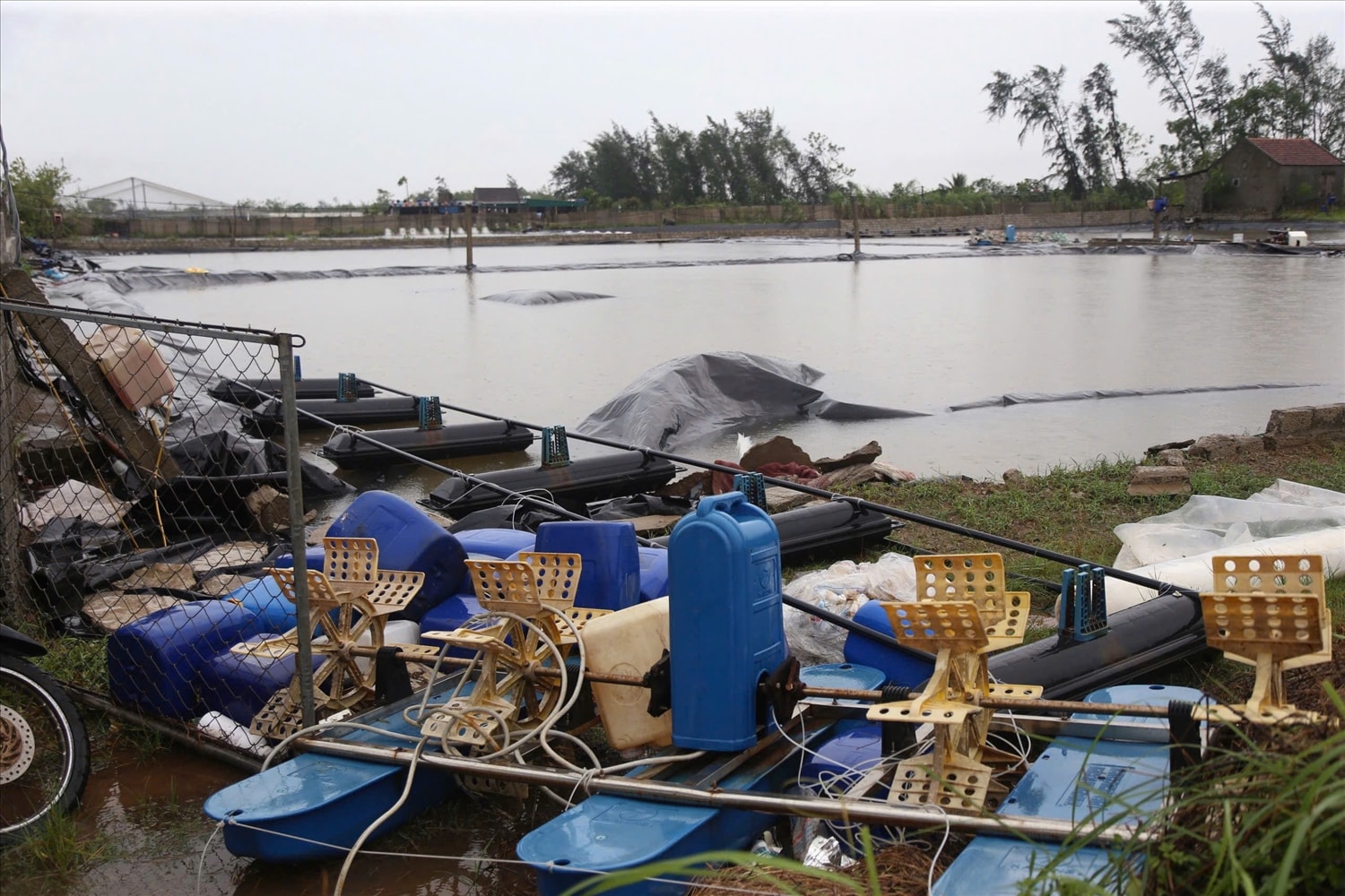 Bão số 5 đi qua, toàn tỉnh có 275ha nuôi tôm bị thiệt hại - Trong ảnh: Những gì còn sót lại trên những đầm tôm xã An Châu sau khi bão rút - Ảnh: Thanh Hải