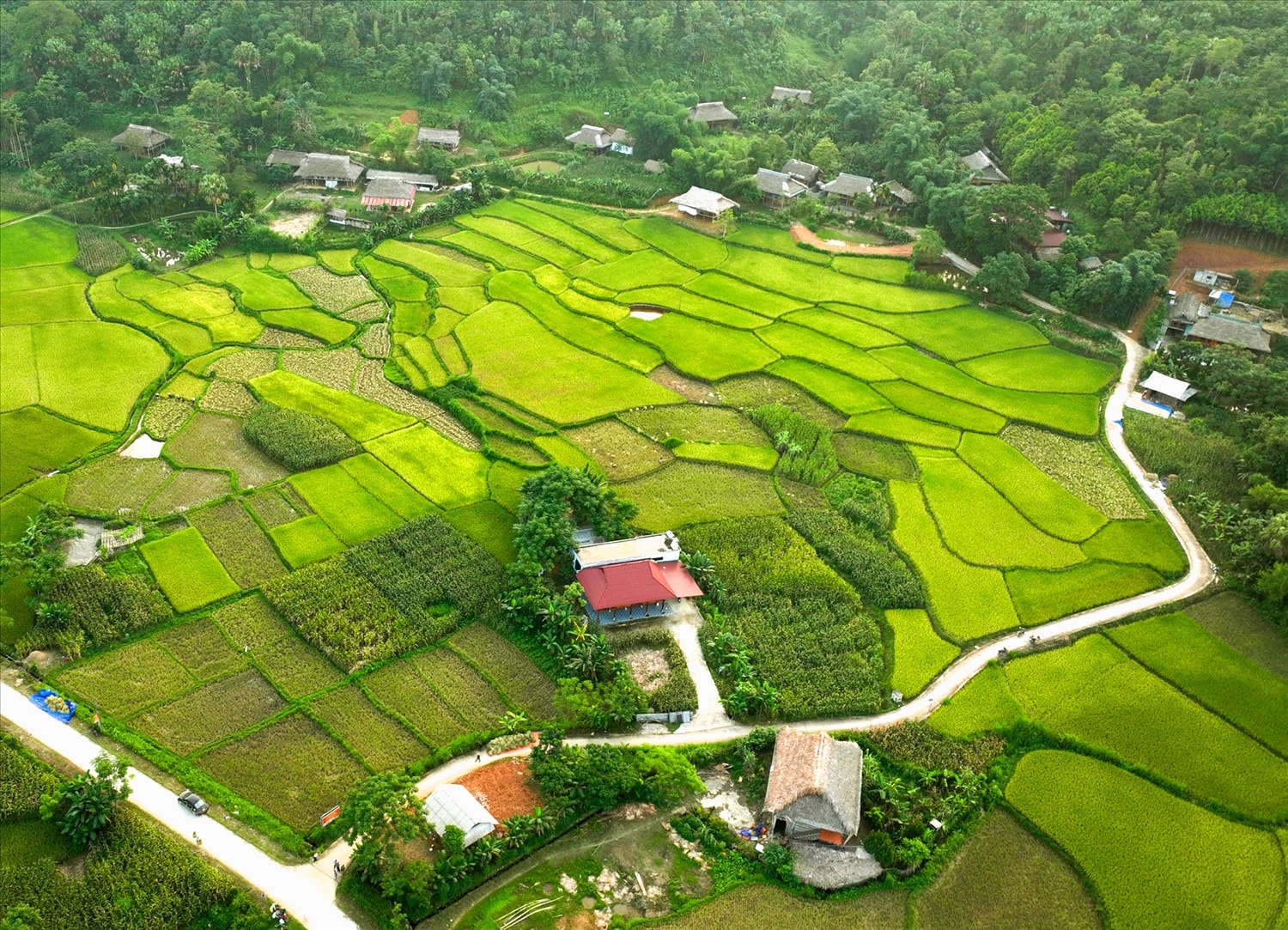 Tân Lĩnh là xã có đông đồng bào dân tộc Tày sinh sống trên địa bàn tỉnh với nhiều bản sắc văn hóa đặc trưng riêng.
