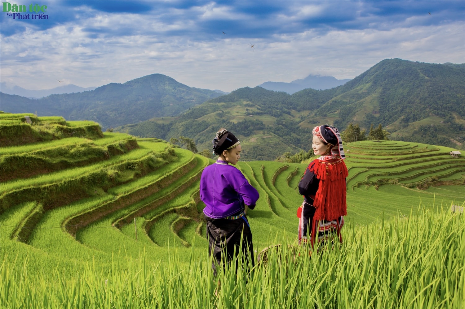 Cùng khí hậu mát mẻ, cảnh quan tuyệt đẹp và con người thân thiện, dải đất phía Tây Bắc của tỉnh Tuyên Quang chắc chắn sẽ để lại trong lòng du khách những ấn tượng khó quên.