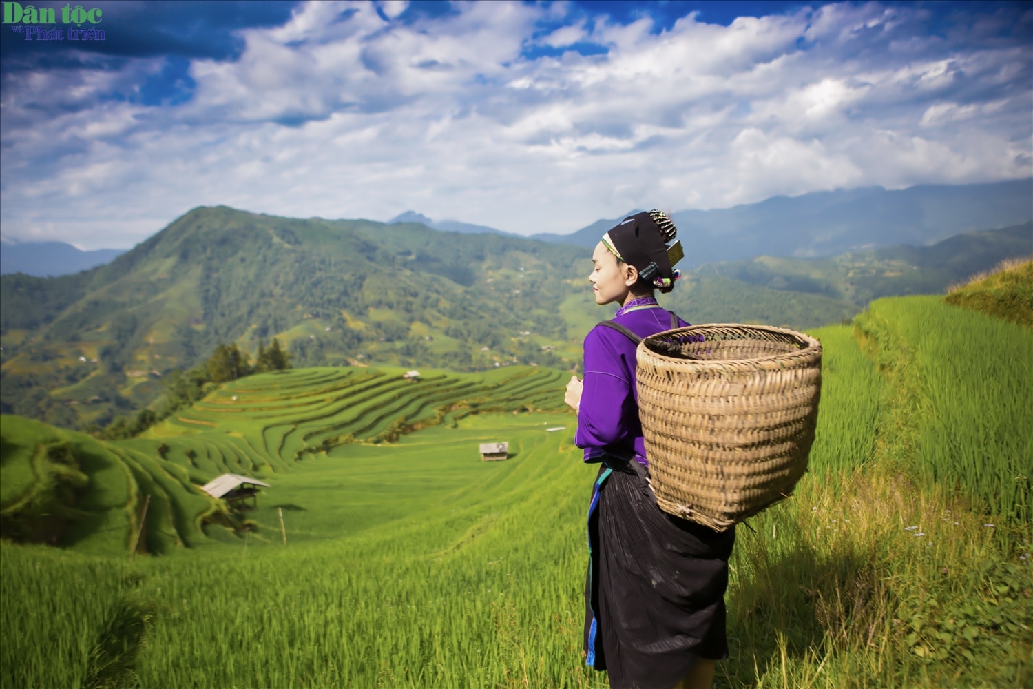(ẢNH) Ruộng bậc thang Tuyên Quang: Tuyệt tác giữa đại ngàn 9