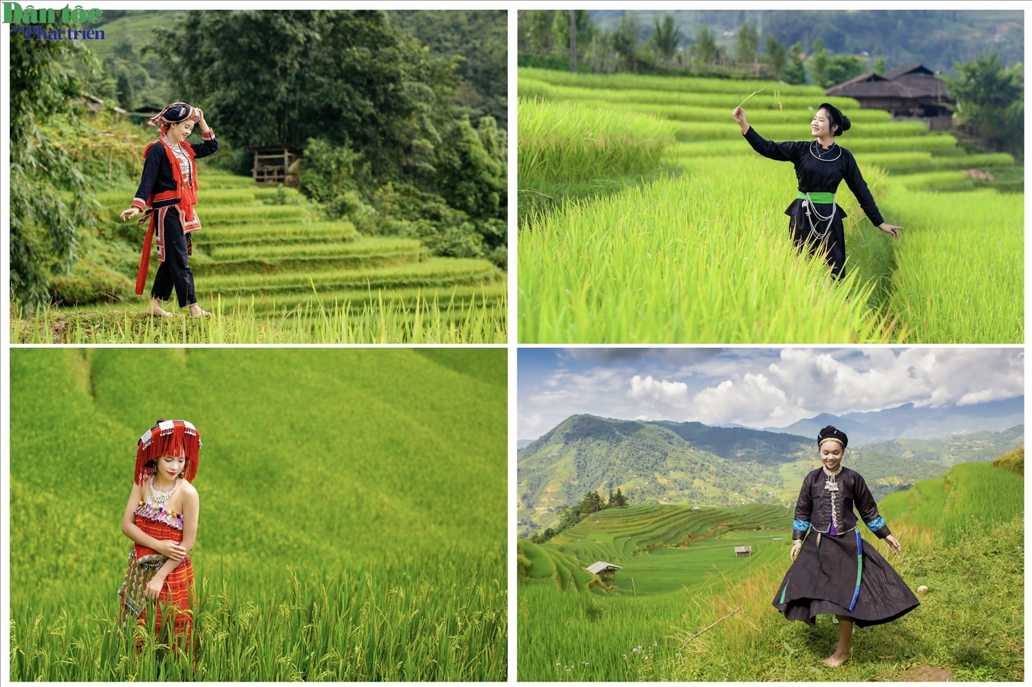 Các xã Thông Nguyên, Pờ Ly Ngài, Thàng Tín, Bản Phùng… thuộc tỉnh Tuyên Quang cũng là nơi sinh sống của cộng đồng 12 dân tộc. Đông nhất là dân tộc Nùng với hơn 38%, dân tộc Dao là 22%, Mông 13%, còn lại là các dân tộc khác.