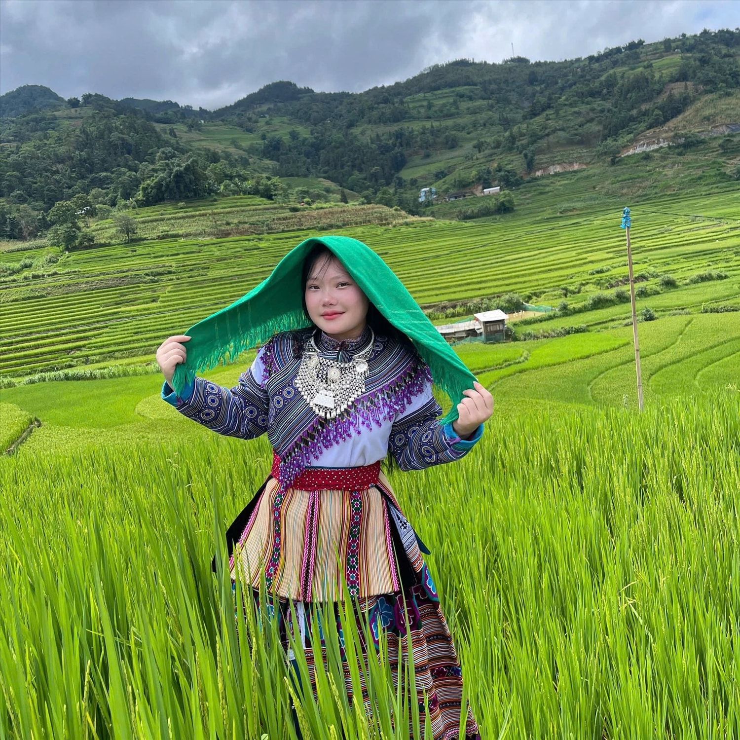  Cô gái dân tộc Mông trong trang phục truyền thống nổi bật giữa biển lúa vàng óng ả.
