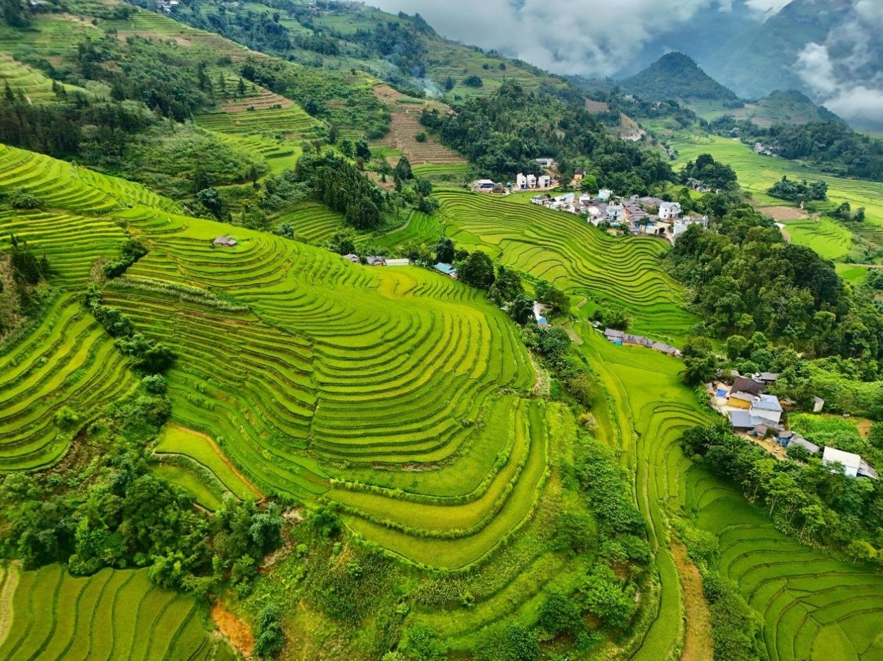 Ruộng bậc thang ở Sín Chéng, Si Ma Cai nhìn từ trên cao, với những đường cong mềm mại ôm lấy sườn đồi. Ảnh: Seo Súng