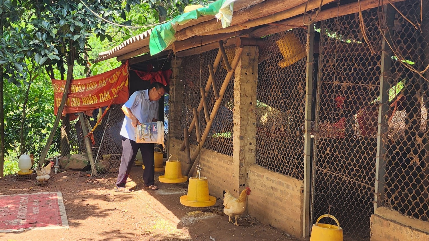 Người dân vùng DTTS chủ động các mô hình trồng trọt, chăn nuôi để phát triển kinh tế (Ảnh: Mỹ Dung)