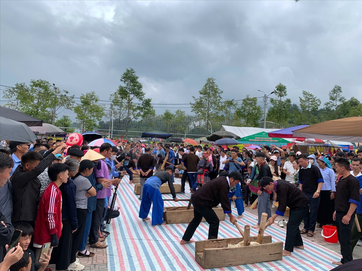 Giã bánh của đồng bào Mông (ảnh Trọng Bảo) Giã bánh của đồng bào Mông (ảnh Trọng Bảo)