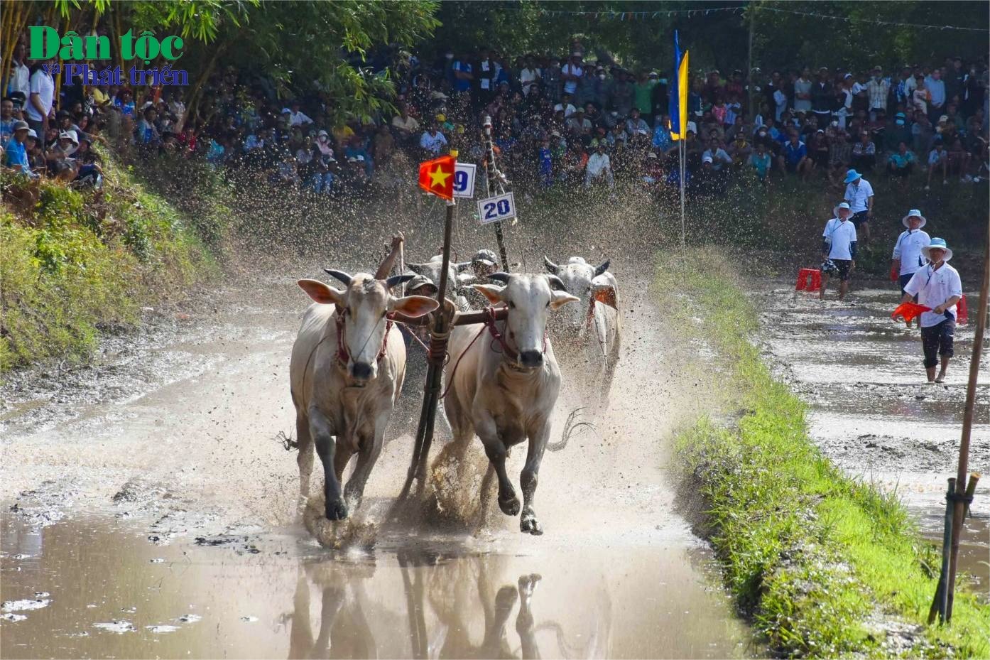 Ông Huỳnh Phúc Hậu - phó ban tổ chức lễ hội đua bò chùa Rô lần thứ 11 - cho biết, năm nay, lần đầu tiên chính quyền vào cuộc cùng tổ chức với hội nhiếp ảnh nên quy mô, chất lượng hơn bình thường. Địa phương bố trí lực lượng an ninh bài bản, sân đua bò tốt hơn. Số lượng bò tham gia thi đấu cũng nhiều hơn và giá trị giải thưởng cũng cao hơn. Tổng giải thưởng cho các đôi bò đoạt giải lần này trên 50 triệu đồng kèm theo một số hiện vật khác.