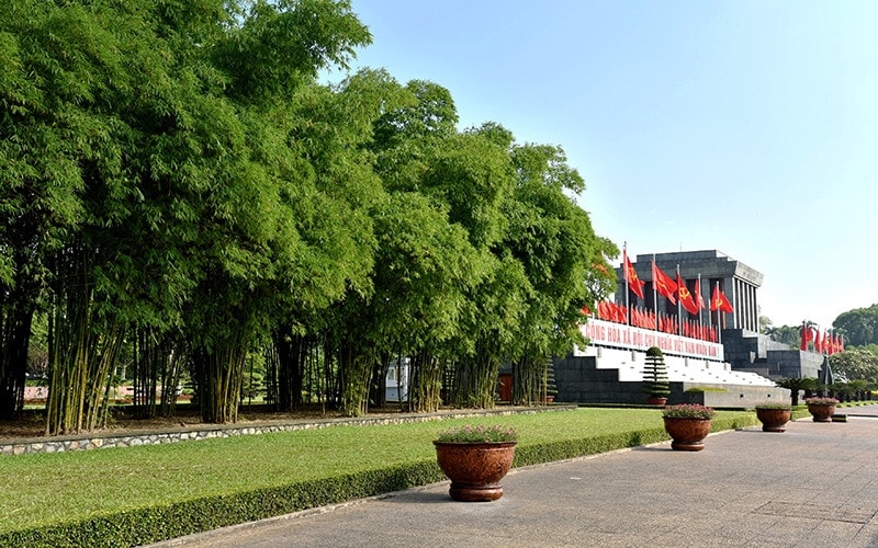 Rặng tre, luồng xanh tốt bên cạnh Lăng Bác. (Ảnh: PV)