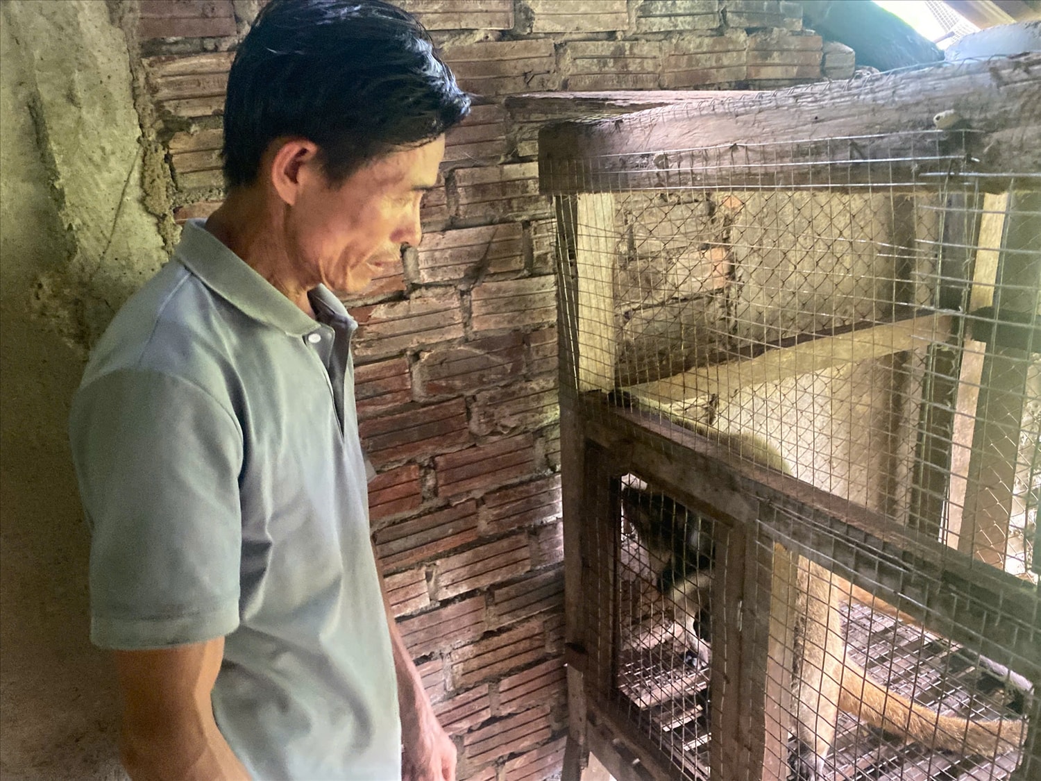 Ông Lê Văn Phúc đẩy mạnh phát triển kinh tế gia đình từ sự hỗ trợ về cây giống, con giống và hệ thống tưới tiêu (Ảnh H.Trường) Ông Lê Văn Phúc đẩy mạnh phát triển kinh tế gia đình từ sự hỗ trợ về cây giống, con giống và hệ thống tưới tiêu (Ảnh H.Trường)