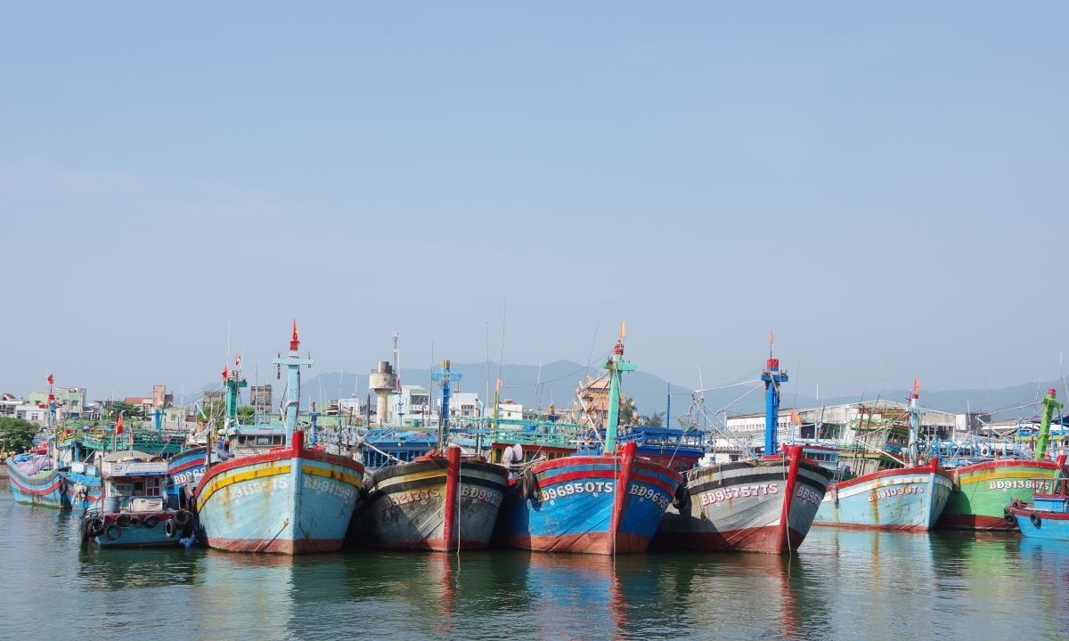 Gia Lai là một trong những địa phương có đội tàu cá lớn nhất cả nước (Ảnh minh hoạ) Gia Lai là một trong những địa phương có đội tàu cá lớn nhất cả nước (Ảnh minh hoạ)