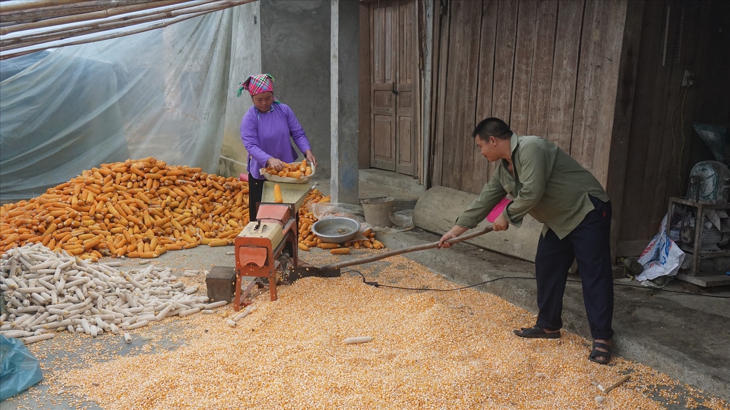 Dự án 8 đang từng bước giải quyết vấn đề bình đẳng giới ở vùng cao Lào Cai (ảnh Trọng Bảo)