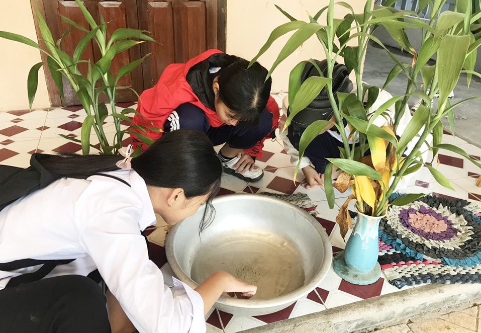 Khánh Hòa đã có 2 trường hợp tử vong do sốt xuất huyết 