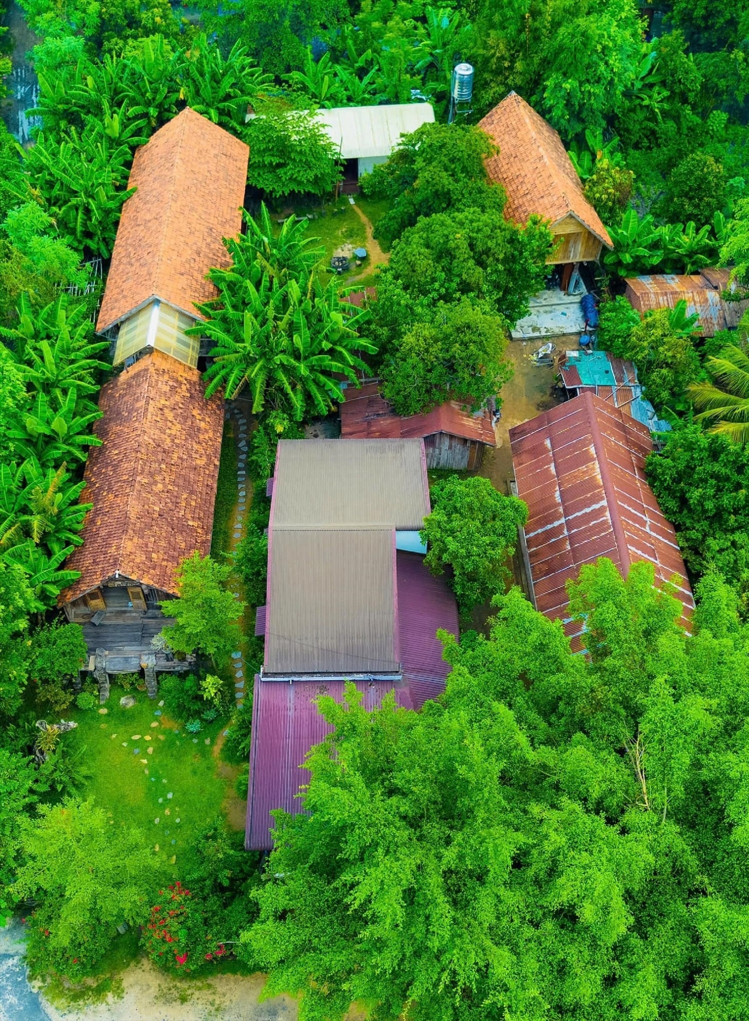 Y Sôl House homestay tịa lạc trong không gian xanh mướt, trong lành