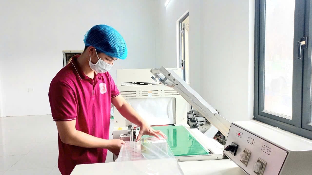 Công nhân HTX Tiên Phong đóng gói sản phẩm trà dược liệu trên dây chuyền hiện đại.
