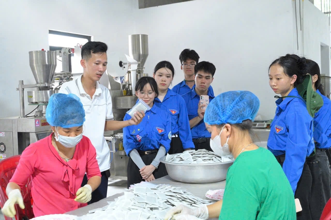 Nguyễn Quốc Hoàng (áo phông trắng) giới thiệu quy trình sản xuất trà dược liệu cho đoàn thanh niên địa phương tham quan, học tập.