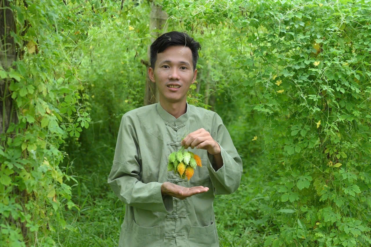 Nguyễn Quốc Hoàng trong vườn mướp đắng rừng – loại cây dược liệu đã giúp anh khởi nghiệp thành công ngay trên quê hương.