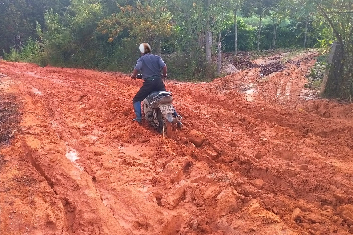 Vào mùa mưa, có những con đường lên vườn sâm cực kỳ gian nan vất vả.