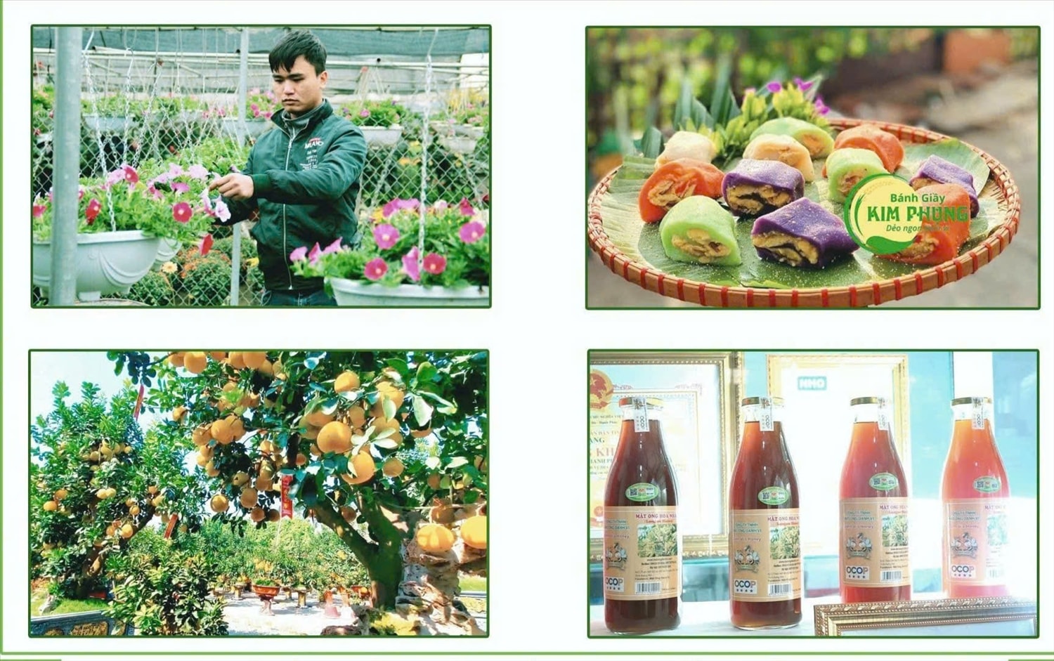 Một số sản phẩm tiêu biểu của Văn Giang được công nhận OCOP, như hoa cảnh, bánh giầy Kim Phụng, bưởi cảnh, mật ong…