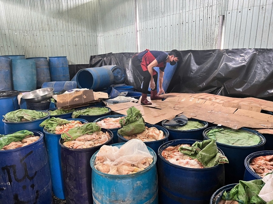 Hàng trăm thùng nhựa chứa da heo và mỡ bốc mùi hôi thối tại cơ sở sản xuất lạp xưởng Gia Quý bị cơ quan chức năng phát hiện (Ảnh H.Y)  