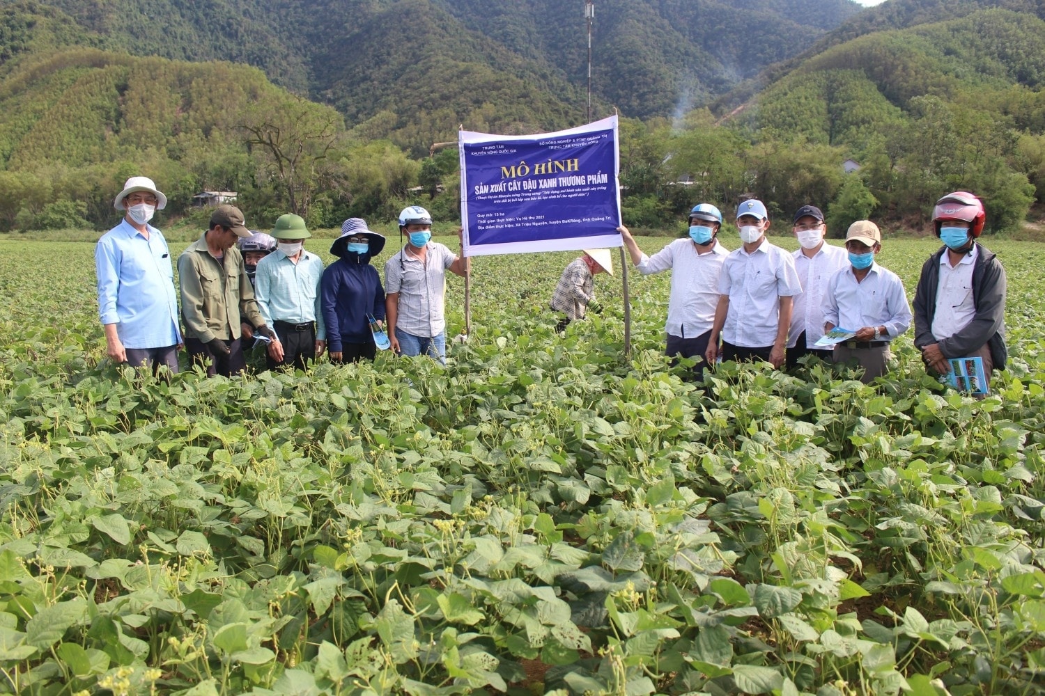 Tổ khuyến nông cộng đồng đóng vai trò cầu nối giữa chính sách của Nhà nước và thực tiễn sản xuất của người dân