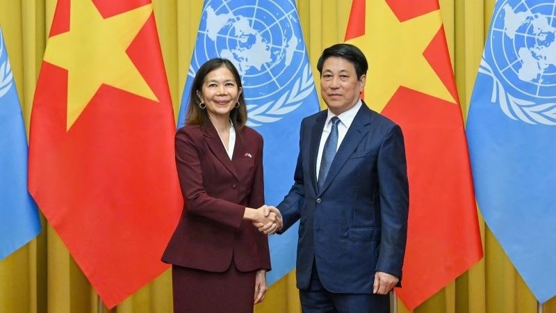 Chủ tịch nước Lương Cường và bà Pauline Tamesis, Điều phối viên thường trú Liên hợp quốc tại buổi tiếp. (Ảnh: THUỶ NGUYÊN)