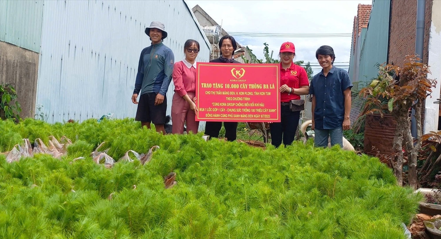 Công ty Cổ phần Kora Group tặng cây thông giống cho các địa phương nhằm phủ xanh đất trống, đồi núi trọc. (Ảnh: Ngọc Chí) Công ty Cổ phần Kora Group tặng cây thông giống cho các địa phương nhằm phủ xanh đất trống, đồi núi trọc. (Ảnh: Ngọc Chí)